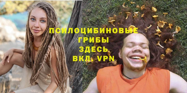 мдпв Медногорск