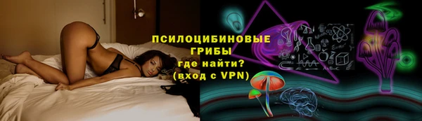мдпв Медногорск