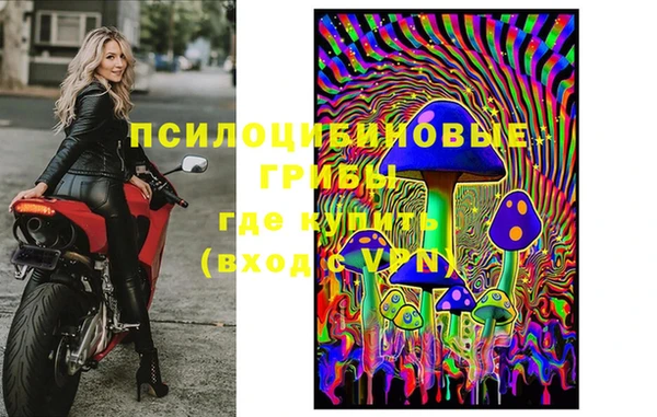 бошки Мегион