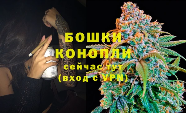 бошки Мегион